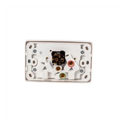 Picture of Twin Switch Socket Outlet, 2000 Series, 250V, 10A, Removable Extra Switch