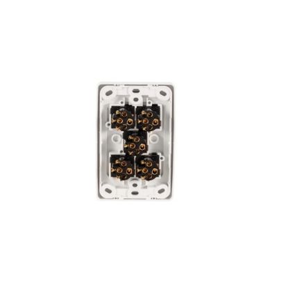 Picture of Flush Switch, 2000 Series, 5 Gang, 250VAC, 10A, Standard, Vertical