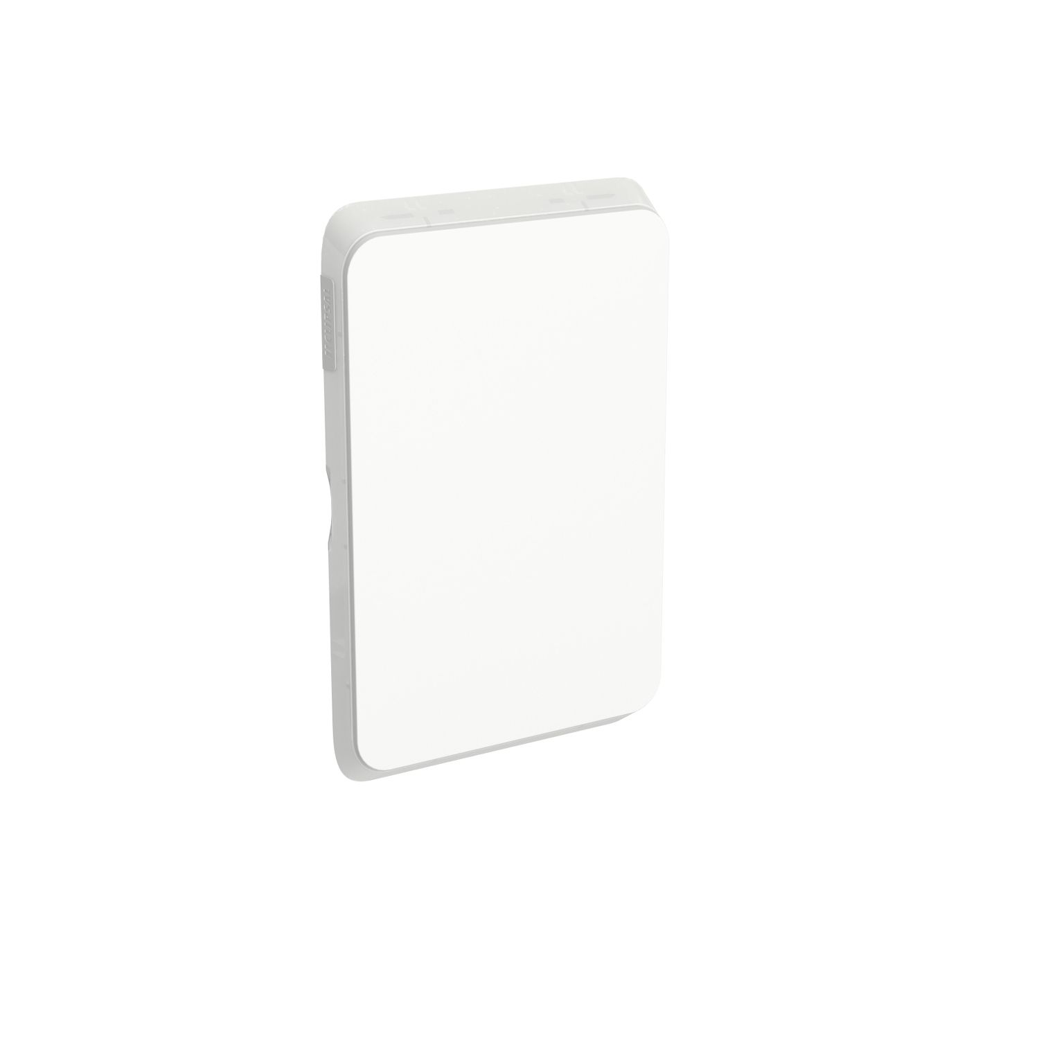 Picture of Blank Switch Plate, Clipsal Iconic, Horizontal/Vertical Mount