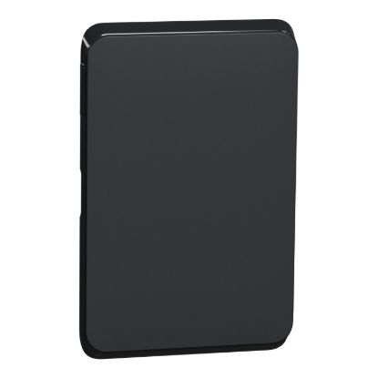 Picture of Switch Plate Skin, Clipsal Iconic, Blank, Horizontal/Vertical Mount
