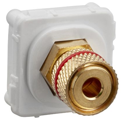 Picture of Banana Connector, Clipsal Actassi, Red Band