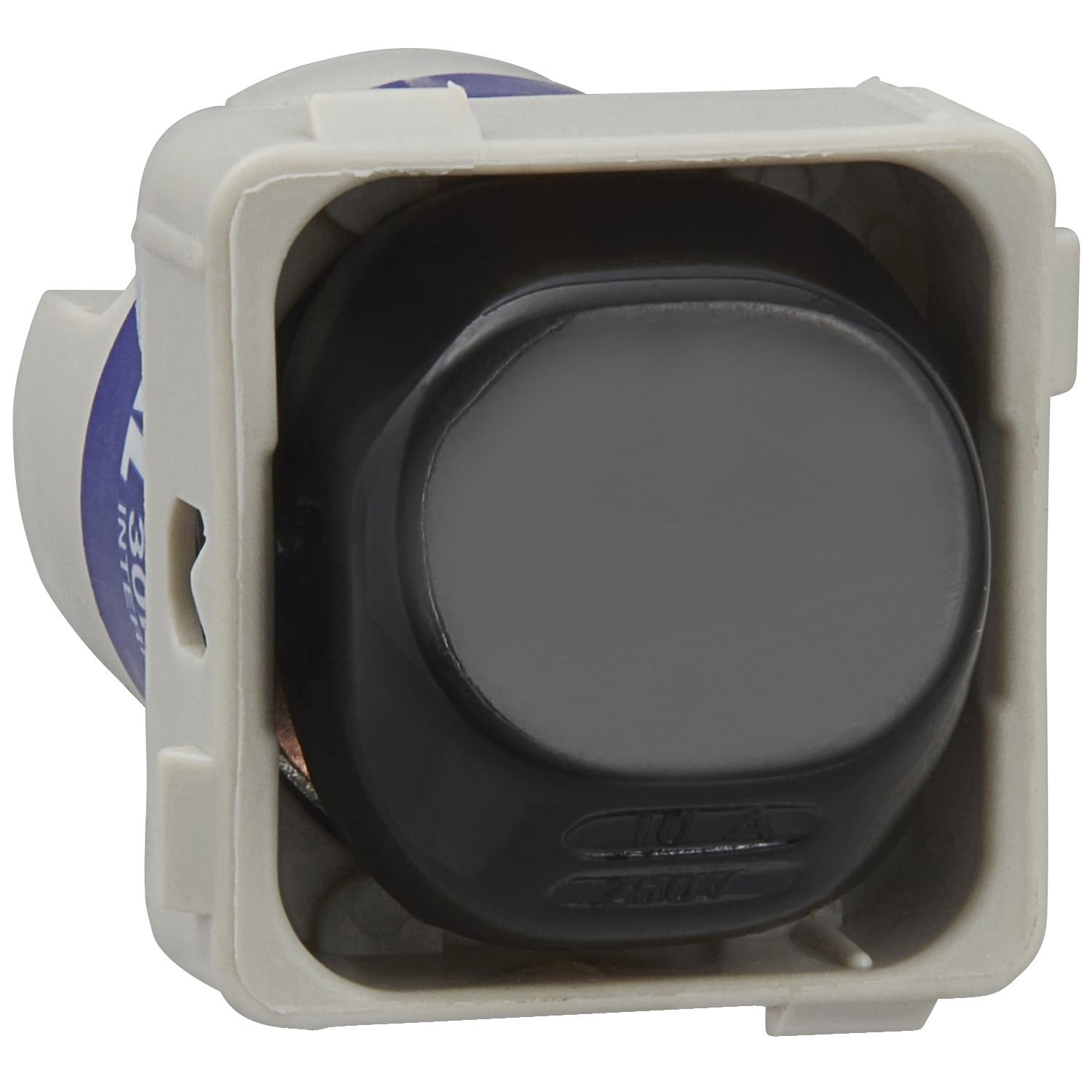Picture of Switch Mechanism, 30 Series, 250V 10A, Intermediate