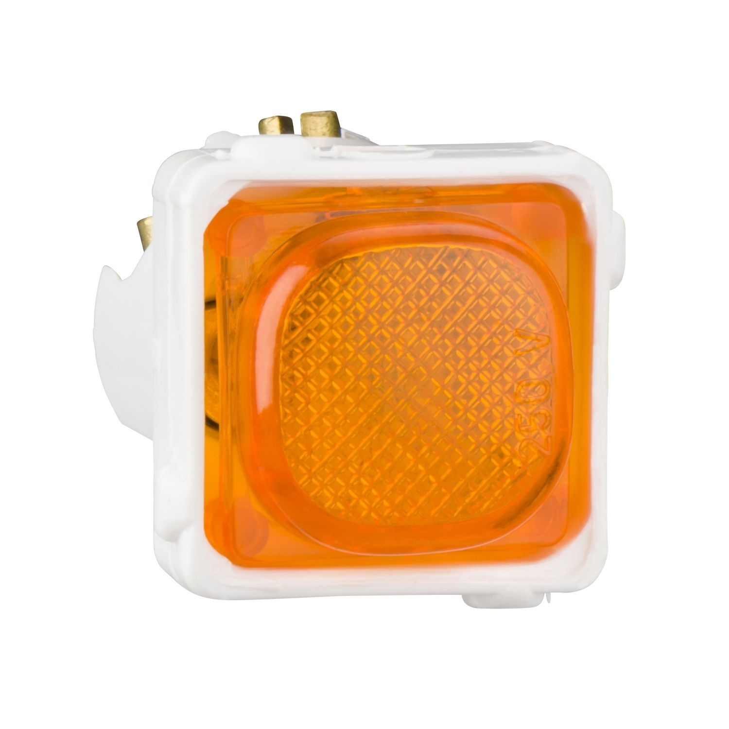 Picture of Switch Mechanisms, 30 Series, Neon Indicator Mechanisms, 250V