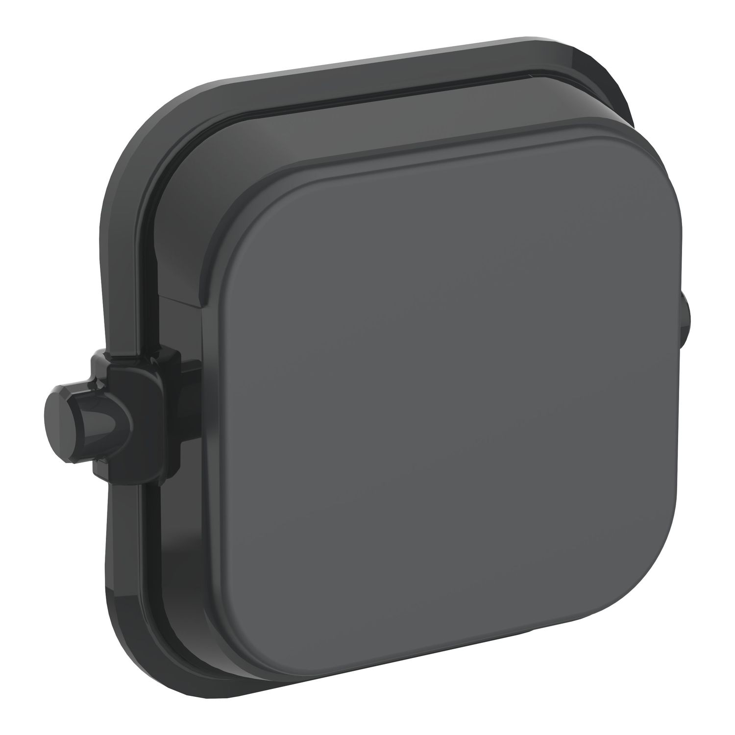 Picture of Blank Rocker, Clipsal Iconic, 10 Pack